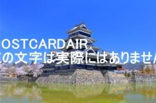 <img class='new_mark_img1' src='https://img.shop-pro.jp/img/new/icons1.gif' style='border:none;display:inline;margin:0px;padding:0px;width:auto;' />ĹۺξܾŷȴŷȷϦ2019ǯΥϥս  /kazukiatuko