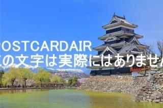 <img class='new_mark_img1' src='https://img.shop-pro.jp/img/new/icons1.gif' style='border:none;display:inline;margin:0px;padding:0px;width:auto;' />ĹۺξܾŷȴŷȷϦ2019ǯΥϥս  /kazukiatuko