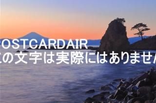 <img class='new_mark_img1' src='https://img.shop-pro.jp/img/new/icons1.gif' style='border:none;display:inline;margin:0px;padding:0px;width:auto;' />ܤʥݥȥAIRۿܲΩгߤٻλͼ2019ǯΥϥս  /kazukiatuko