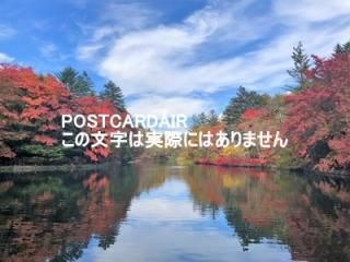 <img class='new_mark_img1' src='https://img.shop-pro.jp/img/new/icons1.gif' style='border:none;display:inline;margin:0px;padding:0px;width:auto;' />ܤʥݥȥAIRۢ389-0102 Ĺ̺׷ڰĮڰӤιդν2020ǯսϥϤ photo by MIRO