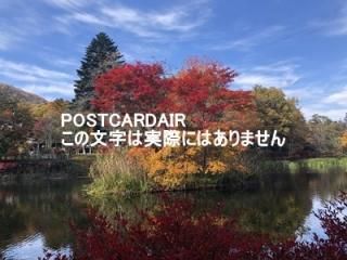 <img class='new_mark_img1' src='https://img.shop-pro.jp/img/new/icons1.gif' style='border:none;display:inline;margin:0px;padding:0px;width:auto;' />ܤʥݥȥAIRۢ389-0102 Ĺ̺׷ڰĮڰӤιդν2020ǯսϥϤ photo by MIRO