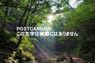 <img class='new_mark_img1' src='https://img.shop-pro.jp/img/new/icons1.gif' style='border:none;display:inline;margin:0px;padding:0px;width:auto;' />ܤʥݥȥAIRۢ389-0111 Ĺ̺׷ڰĮĹҾΤϤ2020ǯսϥϤ photo by MIRO