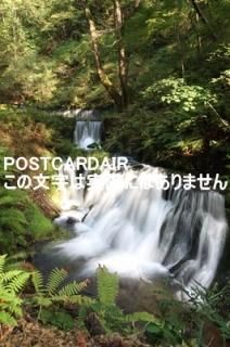 <img class='new_mark_img1' src='https://img.shop-pro.jp/img/new/icons1.gif' style='border:none;display:inline;margin:0px;padding:0px;width:auto;' />ܤʥݥȥAIRۢ389-0111 Ĺ̺׷ڰĮĹҾΤϤ2020ǯսϥϤ photo by MIRO