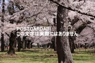 <img class='new_mark_img1' src='https://img.shop-pro.jp/img/new/icons1.gif' style='border:none;display:inline;margin:0px;padding:0px;width:auto;' />ܤʥݥȥAIRۺ̸޻ܸκս2020ǯϥϤ photo by MIRO