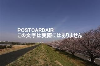 <img class='new_mark_img1' src='https://img.shop-pro.jp/img/new/icons1.gif' style='border:none;display:inline;margin:0px;padding:0px;width:auto;' />ܤʥݥȥAIRۺ̸ĻԹɹưնκս2020ǯϥϤ photo by MIRO