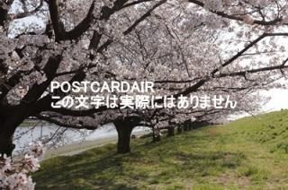<img class='new_mark_img1' src='https://img.shop-pro.jp/img/new/icons1.gif' style='border:none;display:inline;margin:0px;padding:0px;width:auto;' />ܤʥݥȥAIRۺ̸ĻԹɹưնκս2020ǯϥϤ photo by MIRO