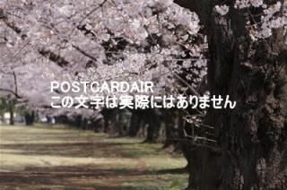 <img class='new_mark_img1' src='https://img.shop-pro.jp/img/new/icons1.gif' style='border:none;display:inline;margin:0px;padding:0px;width:auto;' />ܤʥݥȥAIRۺ̸԰ٻκս2020ǯϥϤ photo by MIRO