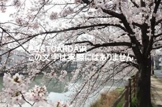 <img class='new_mark_img1' src='https://img.shop-pro.jp/img/new/icons1.gif' style='border:none;display:inline;margin:0px;padding:0px;width:auto;' />ܤʥݥȥAIRۺ̸û԰նκս2021ǯϥϤ photo by MIRO