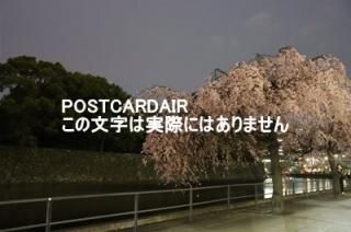 <img class='new_mark_img1' src='https://img.shop-pro.jp/img/new/icons1.gif' style='border:none;display:inline;margin:0px;padding:0px;width:auto;' />ܤʥݥȥAIRĶιĵնκս2021ǯϥϤ photo by MIRO