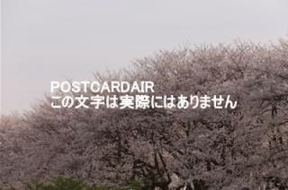 <img class='new_mark_img1' src='https://img.shop-pro.jp/img/new/icons1.gif' style='border:none;display:inline;margin:0px;padding:0px;width:auto;' />ܤʥݥȥAIRۺ̸ԸƲκκս2021ǯϥϤ photo by MIRO