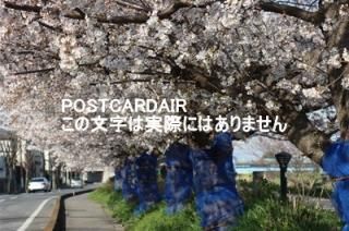 <img class='new_mark_img1' src='https://img.shop-pro.jp/img/new/icons1.gif' style='border:none;display:inline;margin:0px;padding:0px;width:auto;' />ܤʥݥȥAIRۺ̸ûԶĮ褤κս2021ǯϥϤ photo by MIRO