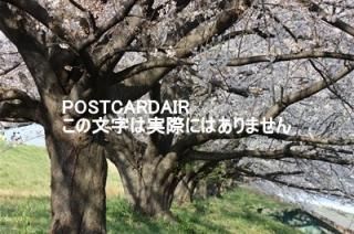 <img class='new_mark_img1' src='https://img.shop-pro.jp/img/new/icons1.gif' style='border:none;display:inline;margin:0px;padding:0px;width:auto;' />ܤʥݥȥAIRۺ̸ĻԹɹưնκս2020ǯϥϤ photo by MIRO