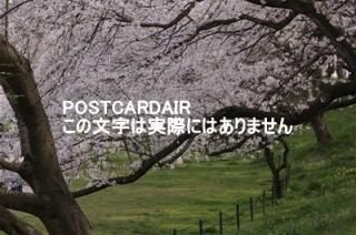 <img class='new_mark_img1' src='https://img.shop-pro.jp/img/new/icons1.gif' style='border:none;display:inline;margin:0px;padding:0px;width:auto;' />ܤʥݥȥAIRۺ̸ԸƲκκս2021ǯϥϤ photo by MIRO