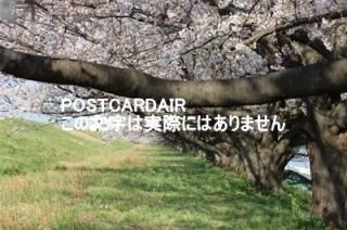 <img class='new_mark_img1' src='https://img.shop-pro.jp/img/new/icons1.gif' style='border:none;display:inline;margin:0px;padding:0px;width:auto;' />ܤʥݥȥAIRۺ̸ĻԹɹưնκս2020ǯϥϤ photo by MIRO