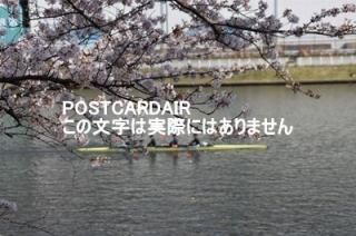 <img class='new_mark_img1' src='https://img.shop-pro.jp/img/new/icons1.gif' style='border:none;display:inline;margin:0px;padding:0px;width:auto;' />ܤʥݥȥAIRۺ̸ĻԹɹưնκս2020ǯϥϤ photo by MIRO
