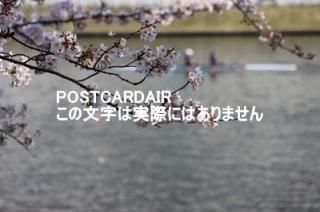 <img class='new_mark_img1' src='https://img.shop-pro.jp/img/new/icons1.gif' style='border:none;display:inline;margin:0px;padding:0px;width:auto;' />ܤʥݥȥAIRۺ̸ĻԹɹưնκս2020ǯϥϤ photo by MIRO