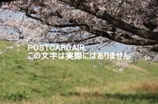 <img class='new_mark_img1' src='https://img.shop-pro.jp/img/new/icons1.gif' style='border:none;display:inline;margin:0px;padding:0px;width:auto;' />ܤʥݥȥAIRۺ̸ĻԹɹưնκս2020ǯϥϤ photo by MIRO