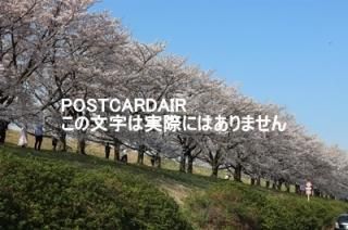 <img class='new_mark_img1' src='https://img.shop-pro.jp/img/new/icons1.gif' style='border:none;display:inline;margin:0px;padding:0px;width:auto;' />ܤʥݥȥAIRۺ̸ĻԹɹưնκս2020ǯϥϤ photo by MIRO