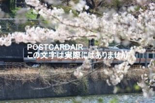 <img class='new_mark_img1' src='https://img.shop-pro.jp/img/new/icons1.gif' style='border:none;display:inline;margin:0px;padding:0px;width:auto;' />ܤʥݥȥAIRԿɶĶԥëնᡢκΥϥϤ photo by MIRO