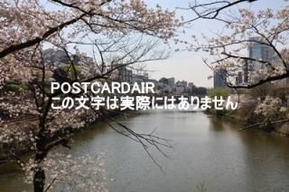 <img class='new_mark_img1' src='https://img.shop-pro.jp/img/new/icons1.gif' style='border:none;display:inline;margin:0px;padding:0px;width:auto;' />ܤʥݥȥAIRԿɶĶԥëնᡢκΥϥ2021ǯϤ photo by MIRO