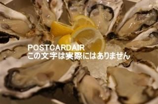<img class='new_mark_img1' src='https://img.shop-pro.jp/img/new/icons1.gif' style='border:none;display:inline;margin:0px;padding:0px;width:auto;' />ڿΥݥȥAIRڤΥϥϤ photo by MIRO