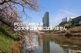 <img class='new_mark_img1' src='https://img.shop-pro.jp/img/new/icons1.gif' style='border:none;display:inline;margin:0px;padding:0px;width:auto;' />ܤʥݥȥAIRԿɶĶԥëնᡢκΥϥ2021ǯϤ photo by MIRO