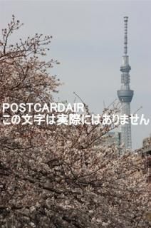 <img class='new_mark_img1' src='https://img.shop-pro.jp/img/new/icons1.gif' style='border:none;display:inline;margin:0px;padding:0px;width:auto;' />ܤʥݥȥAIRĶĥ꡼κΥϥ2021ǯϤ photo by MIRO