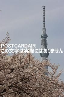 <img class='new_mark_img1' src='https://img.shop-pro.jp/img/new/icons1.gif' style='border:none;display:inline;margin:0px;padding:0px;width:auto;' />ܤʥݥȥAIRĶĥ꡼κΥϥ2021ǯϤ photo by MIRO
