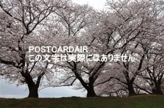 <img class='new_mark_img1' src='https://img.shop-pro.jp/img/new/icons1.gif' style='border:none;display:inline;margin:0px;padding:0px;width:auto;' />ܤʥݥȥAIRۺ̸뷴κ2021ǯսϥϤ photo by MIRO