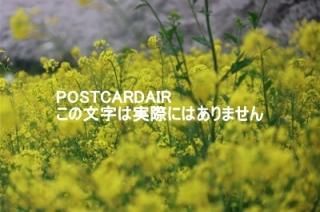 <img class='new_mark_img1' src='https://img.shop-pro.jp/img/new/icons1.gif' style='border:none;display:inline;margin:0px;padding:0px;width:auto;' />ܤʥݥȥAIRۺ̸뷴κȺڤβ2021ǯսϥϤ photo by MIRO