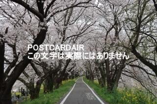 <img class='new_mark_img1' src='https://img.shop-pro.jp/img/new/icons1.gif' style='border:none;display:inline;margin:0px;padding:0px;width:auto;' />ܤʥݥȥAIRۺ̸뷴κȺڤβ2021ǯսϥϤ photo by MIRO