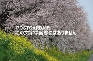 <img class='new_mark_img1' src='https://img.shop-pro.jp/img/new/icons1.gif' style='border:none;display:inline;margin:0px;padding:0px;width:auto;' />ܤʥݥȥAIRۺ̸뷴κȺڤβ2021ǯսϥϤ photo by MIRO