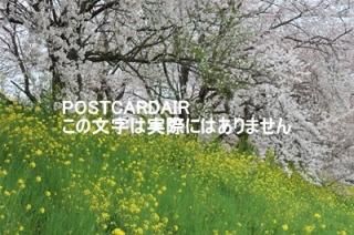 <img class='new_mark_img1' src='https://img.shop-pro.jp/img/new/icons1.gif' style='border:none;display:inline;margin:0px;padding:0px;width:auto;' />ܤʥݥȥAIRۺ̸뷴κȺڤβ2021ǯսϥϤ photo by MIRO
