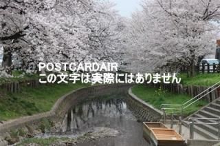 <img class='new_mark_img1' src='https://img.shop-pro.jp/img/new/icons1.gif' style='border:none;display:inline;margin:0px;padding:0px;width:auto;' />ܤʥݥȥAIR2021ǯբ350-0851 ̸ۻɹĮϴκսϥϤ photo by MIRO