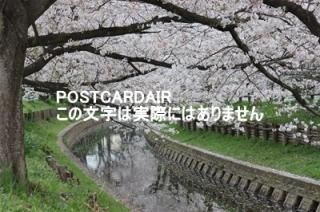 <img class='new_mark_img1' src='https://img.shop-pro.jp/img/new/icons1.gif' style='border:none;display:inline;margin:0px;padding:0px;width:auto;' />ܤʥݥȥAIR2021ǯբ350-0851 ̸ۻɹĮϴκսϥϤ photo by MIRO