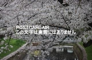<img class='new_mark_img1' src='https://img.shop-pro.jp/img/new/icons1.gif' style='border:none;display:inline;margin:0px;padding:0px;width:auto;' />ܤʥݥȥAIR2021ǯբ350-0851 ̸ۻɹĮϴκսϥϤ photo by MIRO