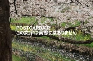 <img class='new_mark_img1' src='https://img.shop-pro.jp/img/new/icons1.gif' style='border:none;display:inline;margin:0px;padding:0px;width:auto;' />ܤʥݥȥAIR2021ǯբ350-0851 ̸ۻɹĮϴκսϥϤ photo by MIRO