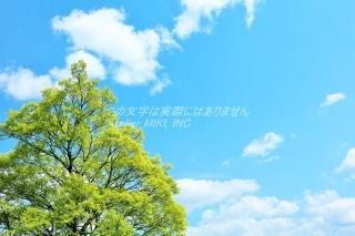 <img class='new_mark_img1' src='https://img.shop-pro.jp/img/new/icons1.gif' style='border:none;display:inline;margin:0px;padding:0px;width:auto;' />ܤʥݥȥAIRĶȿФڤΤϤϥս  /YOSHIO IWASAWA