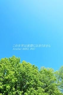 <img class='new_mark_img1' src='https://img.shop-pro.jp/img/new/icons1.gif' style='border:none;display:inline;margin:0px;padding:0px;width:auto;' />ܤʥݥȥAIRĶȿФڤΤϤϥս  /YOSHIO IWASAWA