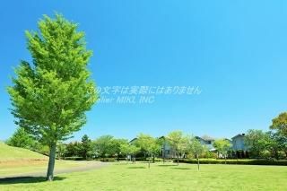 <img class='new_mark_img1' src='https://img.shop-pro.jp/img/new/icons1.gif' style='border:none;display:inline;margin:0px;padding:0px;width:auto;' />ܤʥݥȥAIRĶȿФθΤϤϥս  /YOSHIO IWASAWA