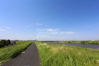 <img class='new_mark_img1' src='https://img.shop-pro.jp/img/new/icons1.gif' style='border:none;display:inline;margin:0px;padding:0px;width:auto;' />ܤʥݥȥAIRۺ̸ڼսϥϤ photo by MIRO