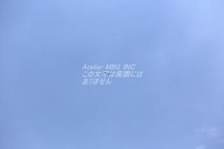 <img class='new_mark_img1' src='https://img.shop-pro.jp/img/new/icons1.gif' style='border:none;display:inline;margin:0px;padding:0px;width:auto;' />ܤʥݥȥAIRɶ֥롼ѥ륹椯սϥϤ photo by MIRO