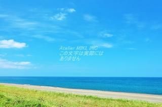 <img class='new_mark_img1' src='https://img.shop-pro.jp/img/new/icons1.gif' style='border:none;display:inline;margin:0px;padding:0px;width:auto;' />ܤʥݥȥɤAIR̳ƻĶΥۡĥΤϤϥս  /YOSHIO IWASAWA