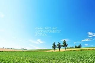 <img class='new_mark_img1' src='https://img.shop-pro.jp/img/new/icons1.gif' style='border:none;display:inline;margin:0px;padding:0px;width:auto;' />ܤʥݥȥɤAIR̳ƻޥɥ֥ε֤ΤϤϥս  /YOSHIO IWASAWA