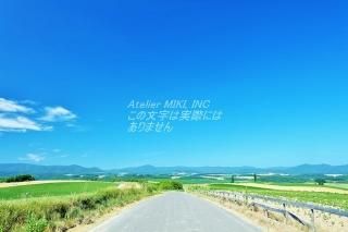 <img class='new_mark_img1' src='https://img.shop-pro.jp/img/new/icons1.gif' style='border:none;display:inline;margin:0px;padding:0px;width:auto;' />ܤʥݥȥɤAIR̳ƻͤƻΤϤϥս  /YOSHIO IWASAWA