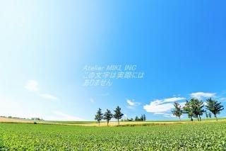 <img class='new_mark_img1' src='https://img.shop-pro.jp/img/new/icons1.gif' style='border:none;display:inline;margin:0px;padding:0px;width:auto;' />ܤʥݥȥɤAIR̳ƻޥɥ֥ε֤ΤϤϥս  /YOSHIO IWASAWA