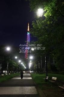 <img class='new_mark_img1' src='https://img.shop-pro.jp/img/new/icons1.gif' style='border:none;display:inline;margin:0px;padding:0px;width:auto;' />ܤʥݥȥɡۼǸफ鸫սϥϤ photo by MIRO