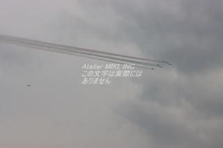 <img class='new_mark_img1' src='https://img.shop-pro.jp/img/new/icons1.gif' style='border:none;display:inline;margin:0px;padding:0px;width:auto;' />ܤʥݥȥɡۥ֥롼ѥ륹սϥϤ photo by MIRO