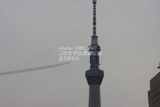 <img class='new_mark_img1' src='https://img.shop-pro.jp/img/new/icons1.gif' style='border:none;display:inline;margin:0px;padding:0px;width:auto;' />ܤʥݥȥɡۥ֥롼ѥ륹ȥĥ꡼սϥϤ photo by MIRO