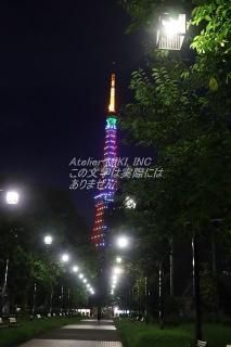 <img class='new_mark_img1' src='https://img.shop-pro.jp/img/new/icons1.gif' style='border:none;display:inline;margin:0px;padding:0px;width:auto;' />ܤʥݥȥɡۼǸफ鸫սϥϤ photo by MIRO
